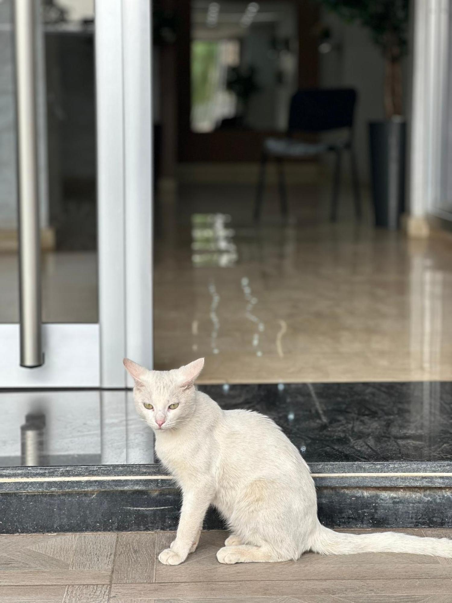 Luxe Appartement 拜尔坎 外观 照片